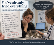 MeowCalm Pro
